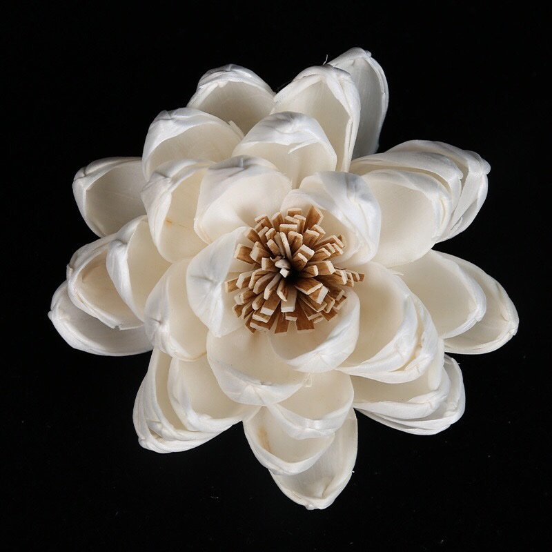 Side view of realistic lotus blossom showing layered petal construction