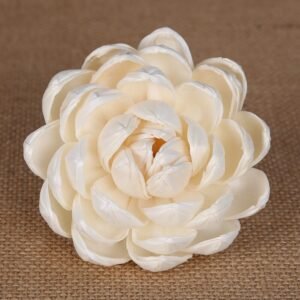 Comparison of different lotus flower sizes and core variations