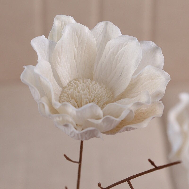 Close-up detail of realistic magnolia blossom showing layered petal structure