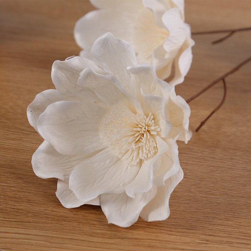 Elegant magnolia stem with natural curvature for decorative arrangements