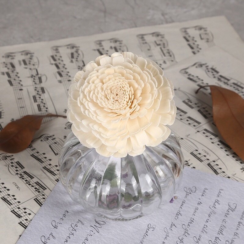 Close-up detail of feverfew blossom showing delicate petal clusters and natural stem
