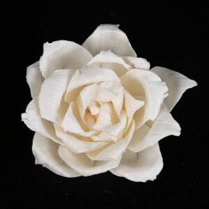 Close-up detail of sculptural rose blossom showing unique curled petal formation