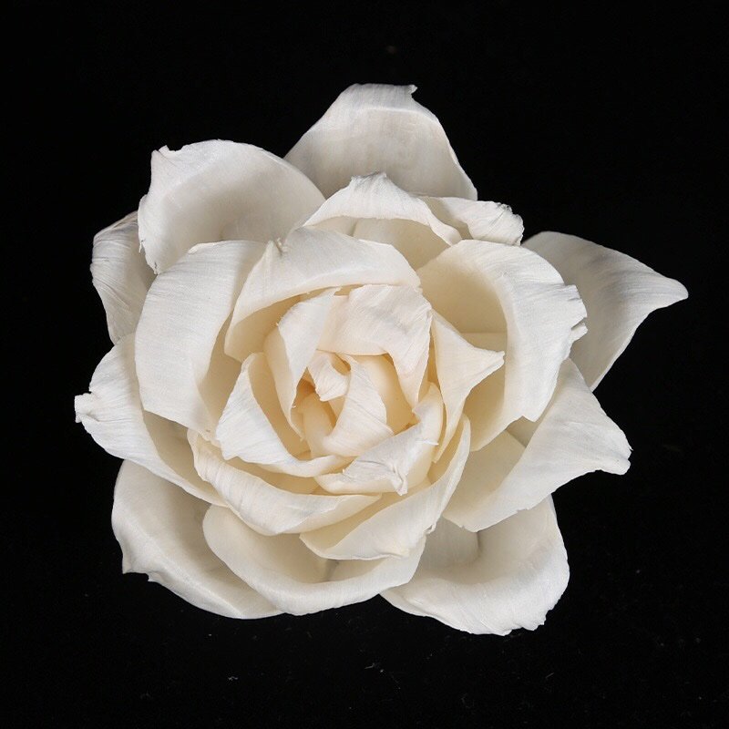 Close-up detail of sculptural rose blossom showing unique curled petal formation