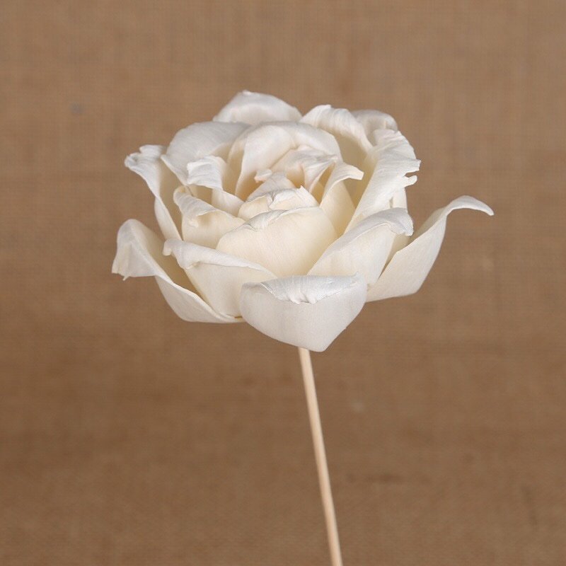 White curled-petal rose showcasing multiple attachment option versatility