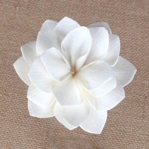 Close-up side view of white paper dahlia bloom highlighting dimensional form and flexible vine tail