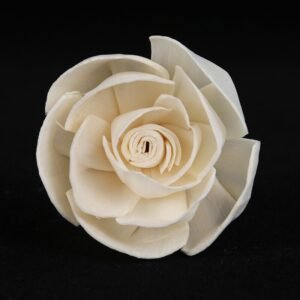 Close-up side view of small rose bloom highlighting natural curvature and stem integration points