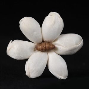 Flat lay of multiple jasmine flowers emphasizing consistent 4cm size and pre-drilled hole option