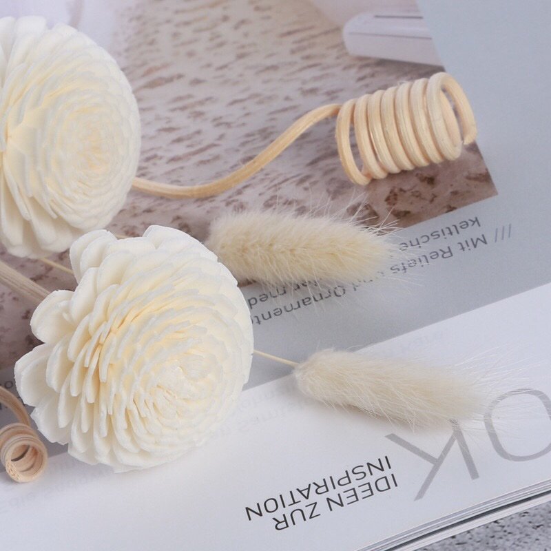 Close-up side view of everlasting foxtail grass highlighting soft plumes and organic form for rustic arrangements