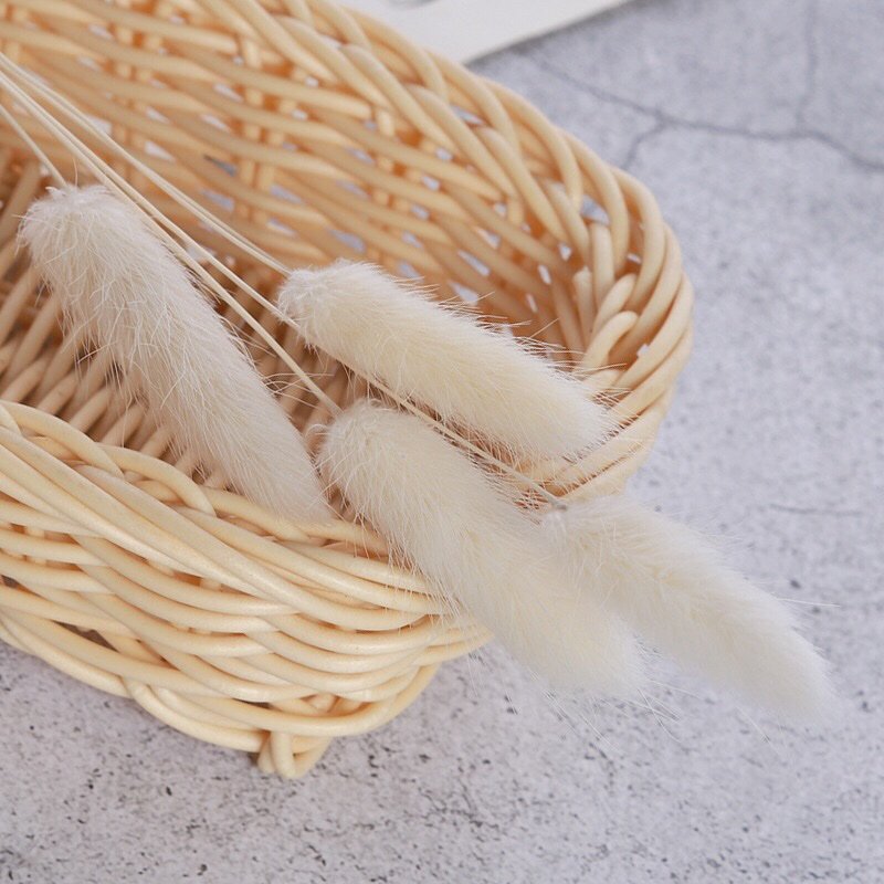 Flat lay of foxtail grass stems showcasing versatility for dried flower arrangements and natural decor