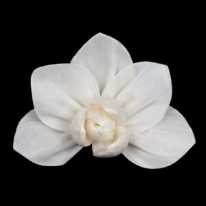 Flat lay composition of winged-shaped white flowers emphasizing graceful silhouette and ready-to-use design