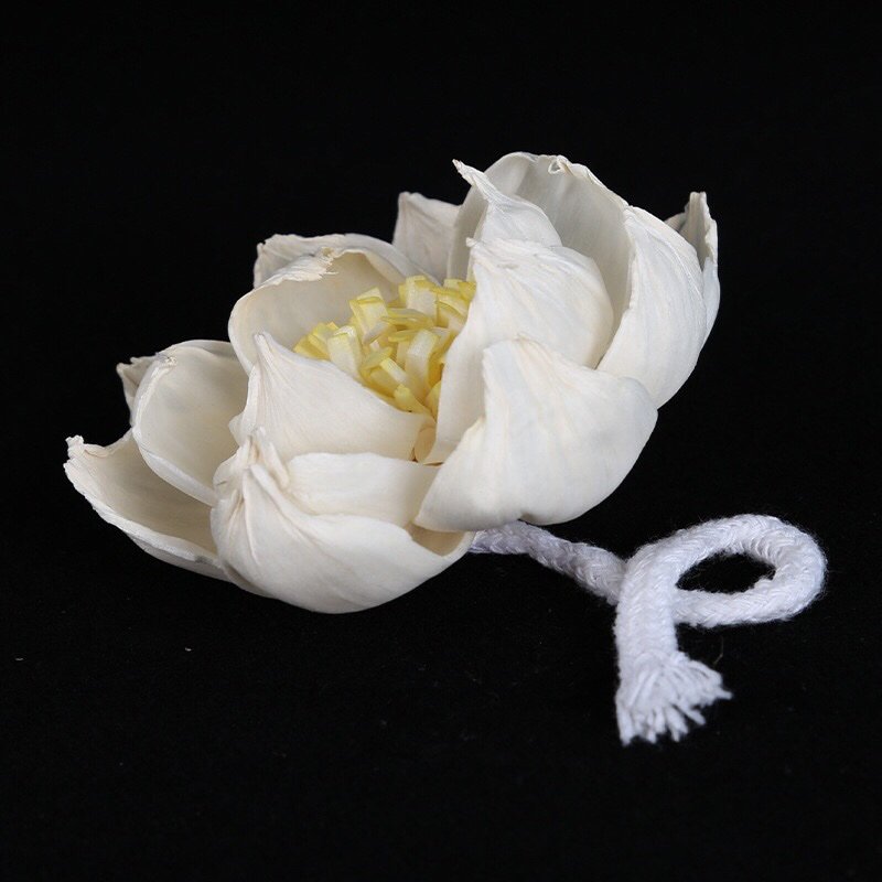 Overhead perspective of white peony flower displaying full petal arrangement and contrasting yellow stamens