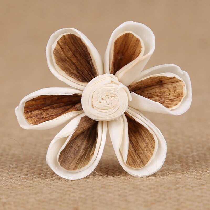 Flat lay composition of contrasting color flowers emphasizing versatile reed diffuser applications